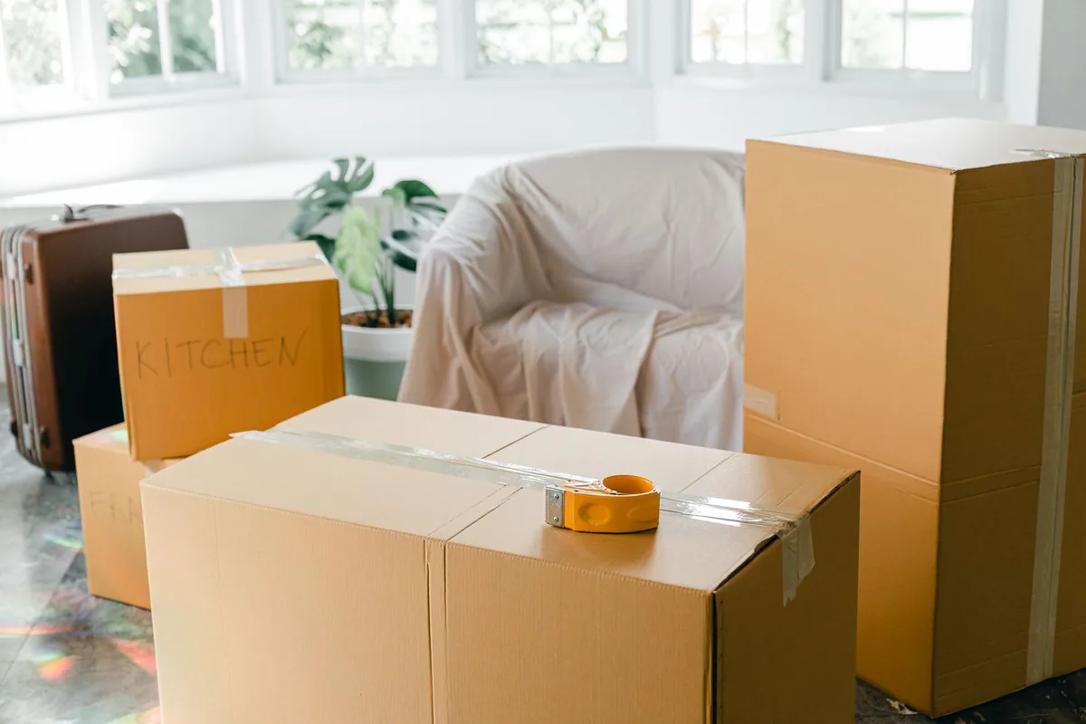 Hoarding Cleanup in Mountain View, AR